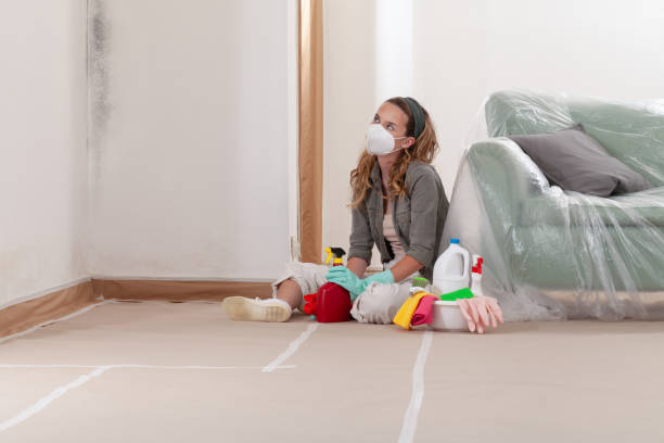 Reliable Mold Remediation contractor in Houston, TX by WQB Mold Removal